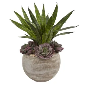 20” Echeveria Succulent and Sansevieria Artificial Plant in Sand Colored Planter