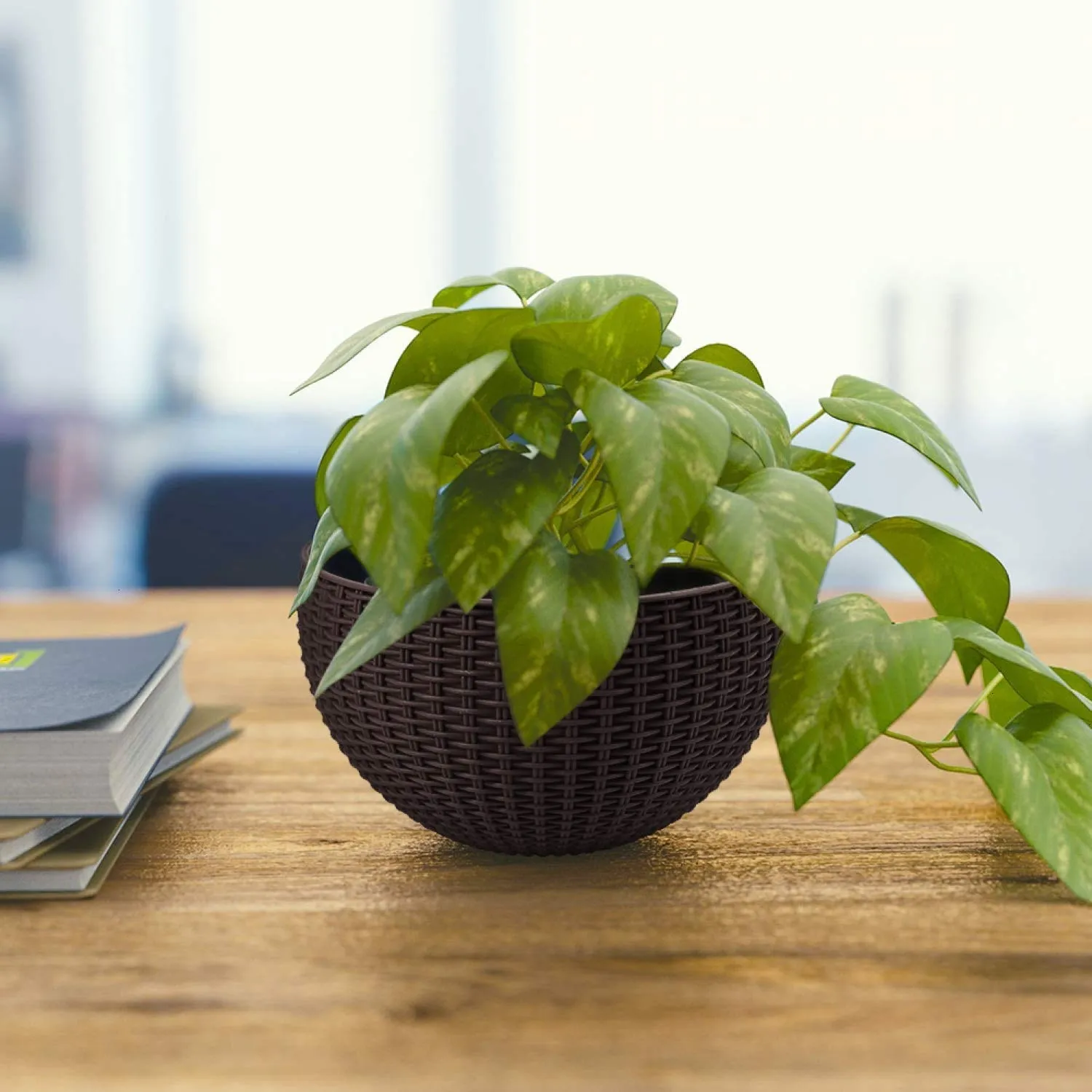 21 cm Black Rattan Hanging Planter with Chain