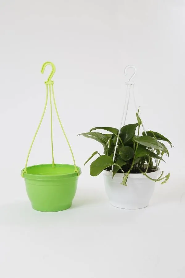 8 Inch Hanging Pot Green