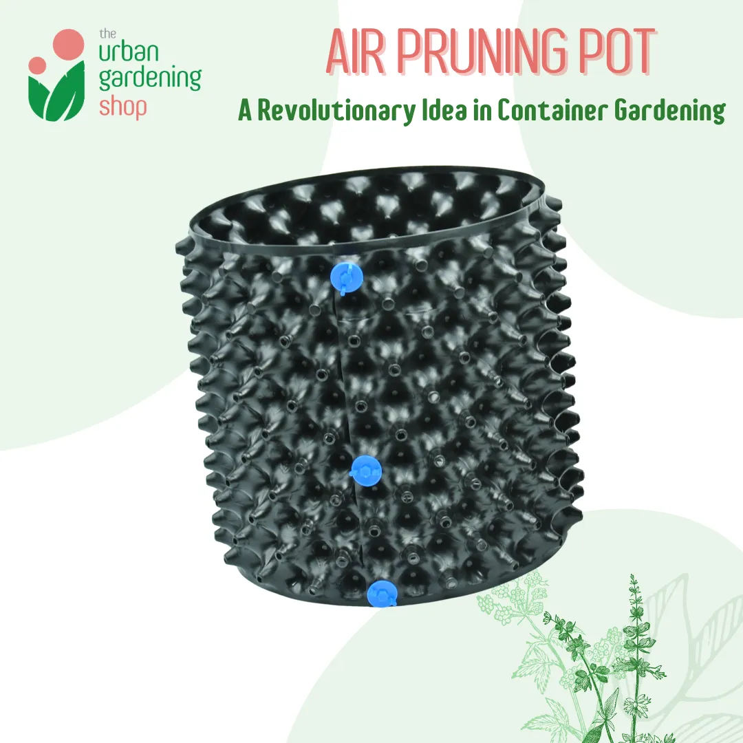 AIR PRUNING POT (1 set)- A revolutionary Idea in Container Gardening