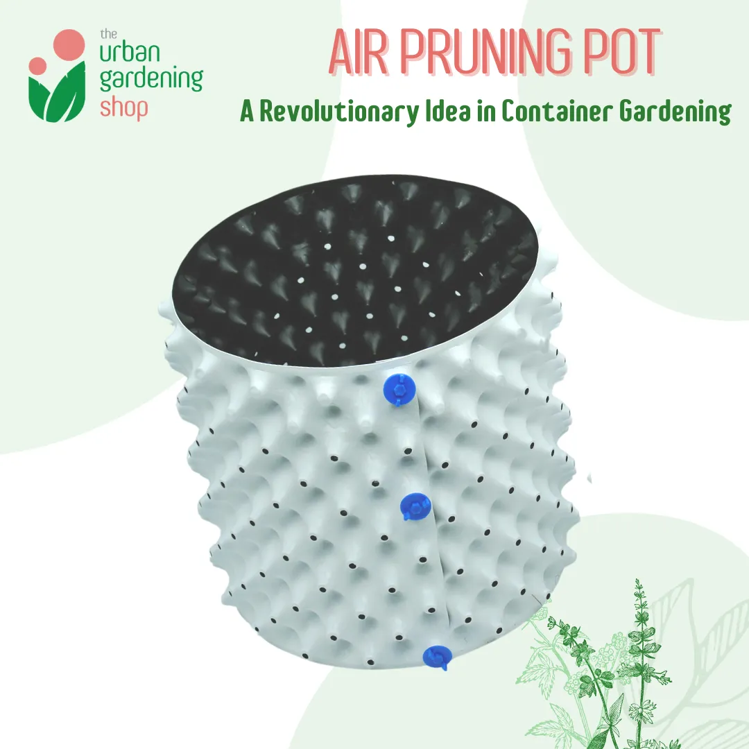 AIR PRUNING POT (1 set)- A revolutionary Idea in Container Gardening