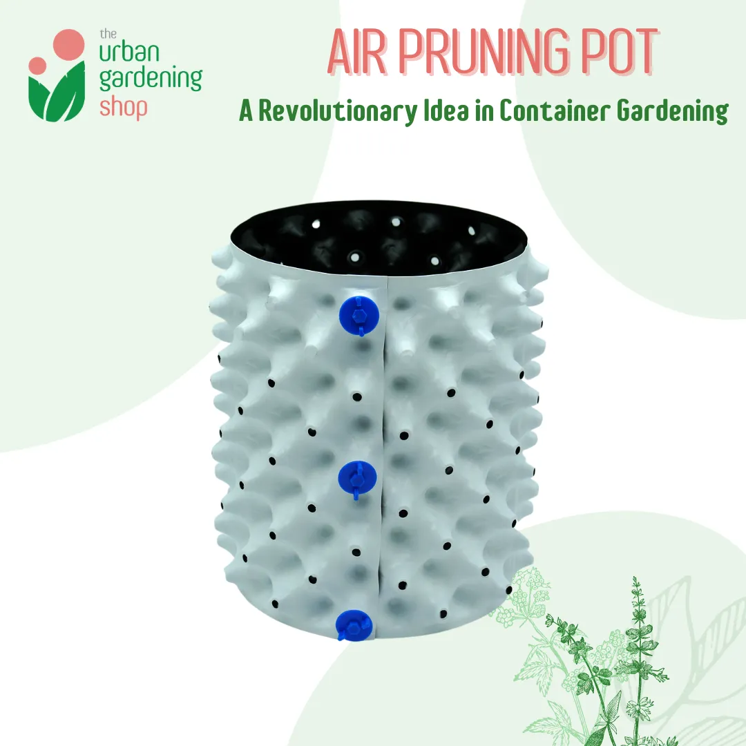 AIR PRUNING POT (1 set)- A revolutionary Idea in Container Gardening