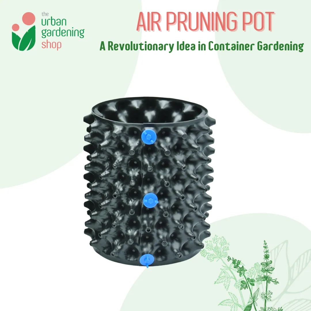 AIR PRUNING POT (1 set)- A revolutionary Idea in Container Gardening