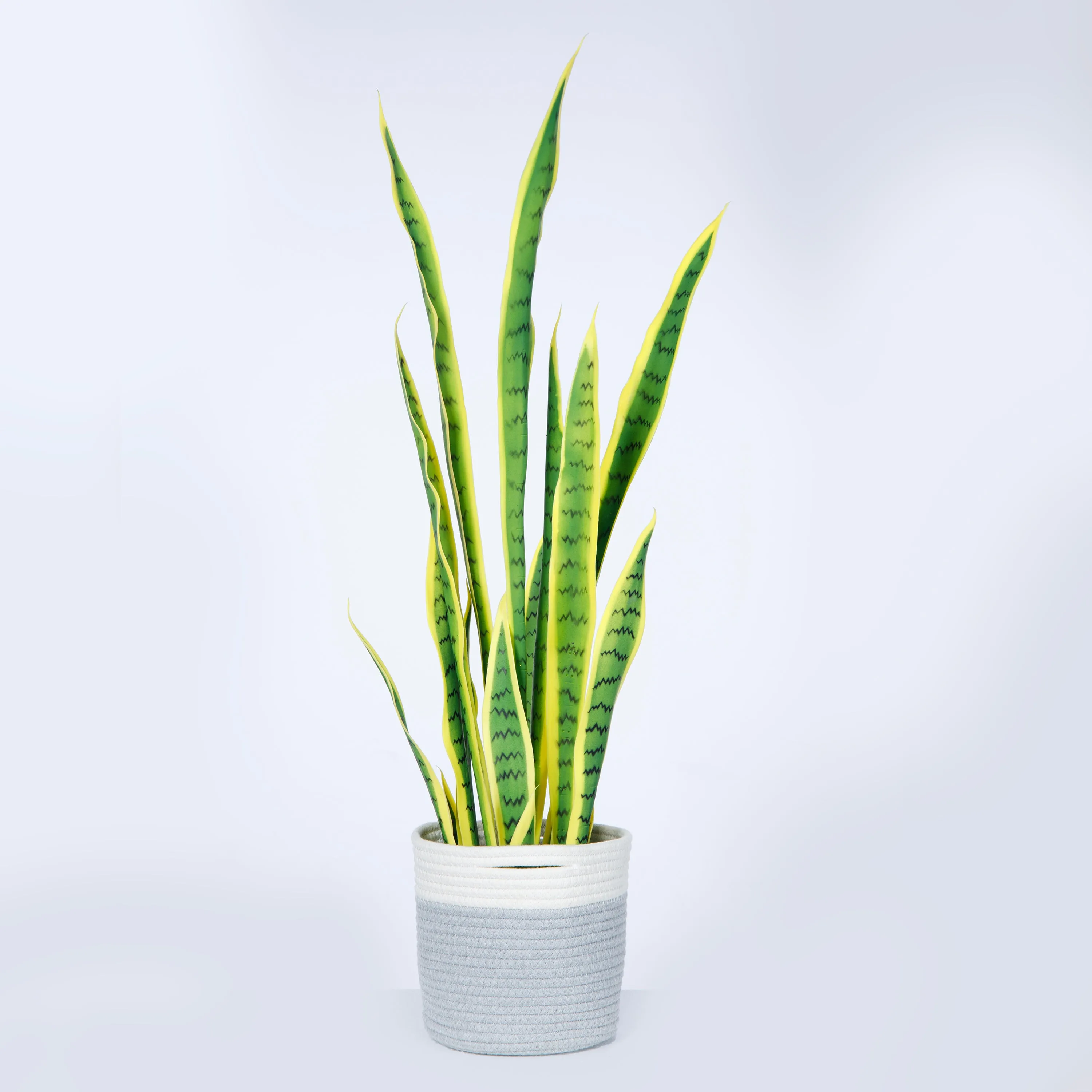 Artificial Golden Snake Plant in a rope basket | 36" Faux Sansevieria | Vintage Home