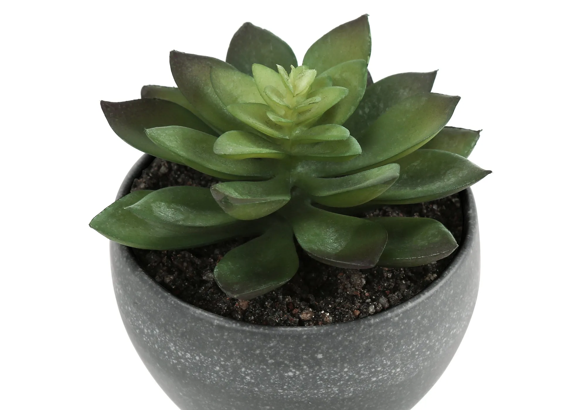 Artificial Plant, 6" Tall, Succulent, Indoor, Faux, Fake, Table, Greenery, Potted, Set Of 3, Decorative, Green Plants, Grey Cement Pots