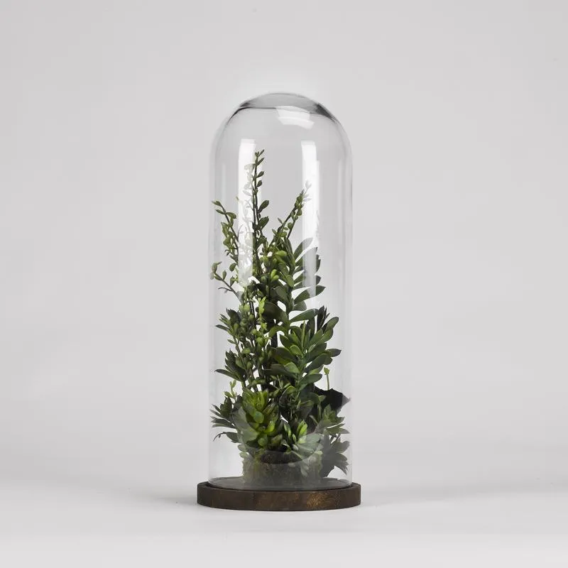 Assorted succulents and greenery in glass dome with wood base