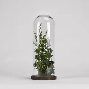 Assorted succulents and greenery in glass dome with wood base