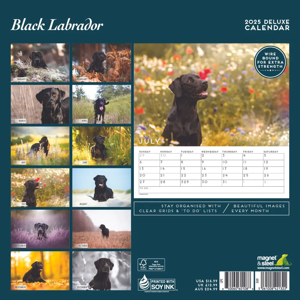 Black Labrador Deluxe Calendar 2025