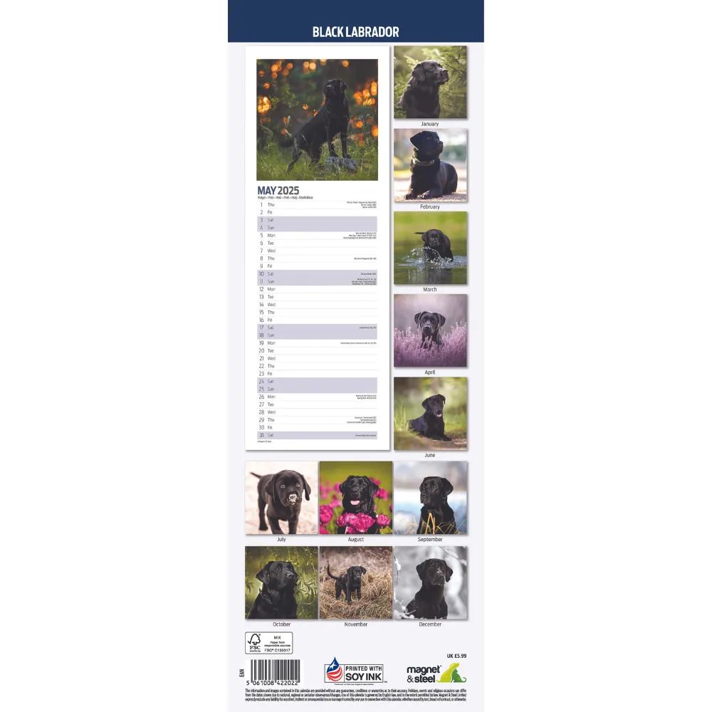 Black Labrador Slim Wall Calendar 2025