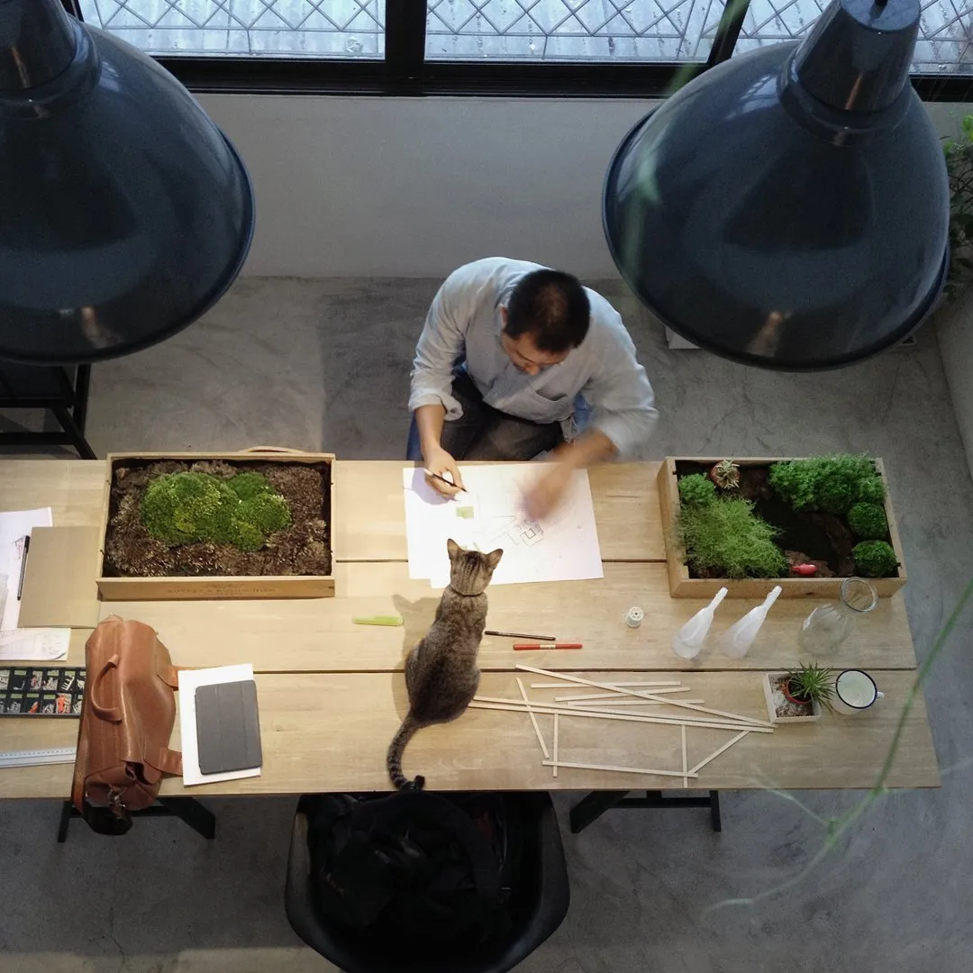 Botanic Tray