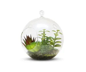 Branched Faux Succulents in Hanging Glass Terrarium