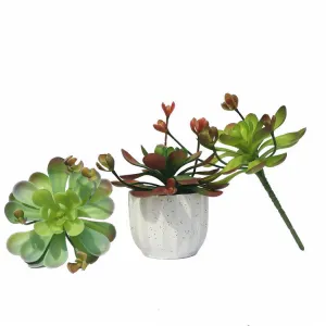 Bulk Mini Artificial Potted Succulent Plants in Vase Wholesale