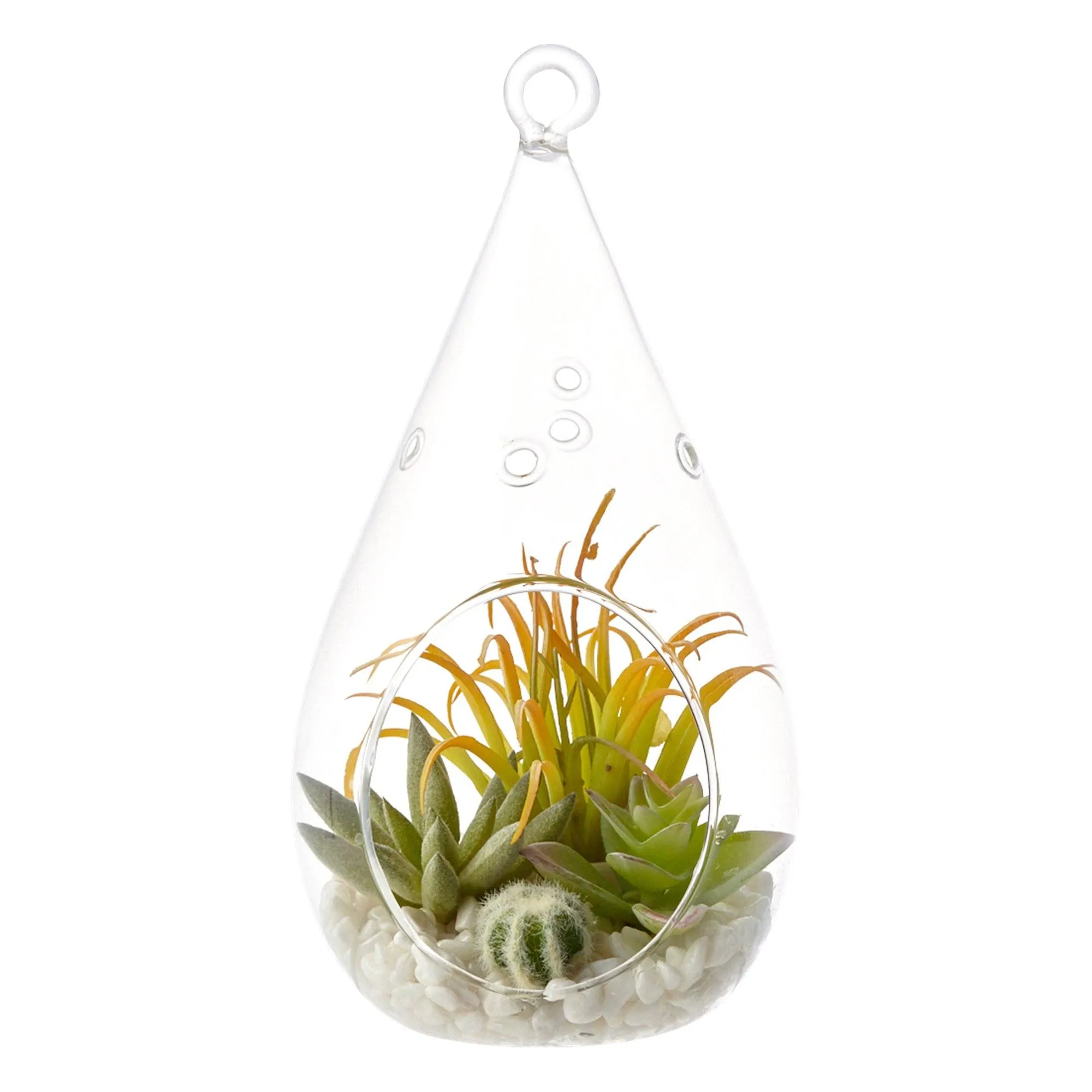 Caro Succulents Pot Drop