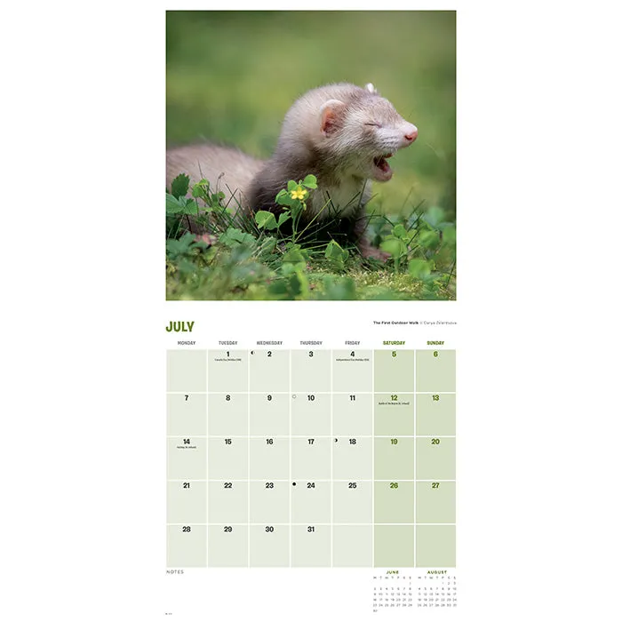 Comedy Pet Photography Awards Calendar 2025