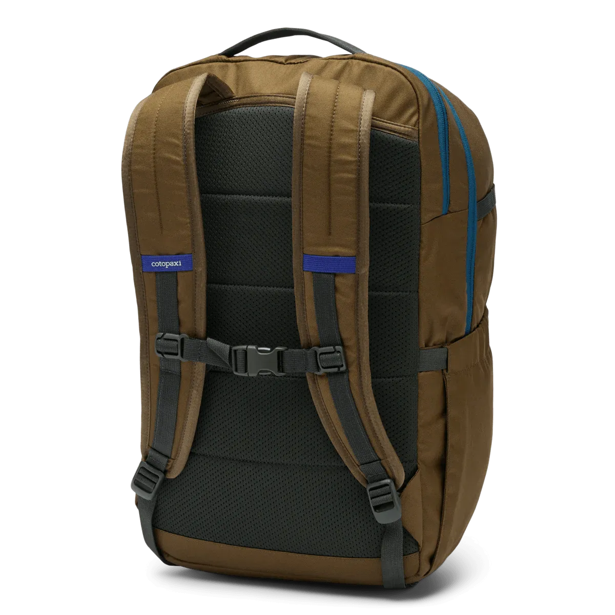 Cotopaxi Chiquillo 30L Backpack - Cada Día - Live Oak