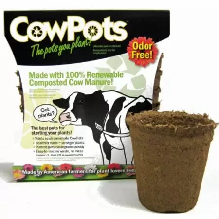 Cowpots Plantable Pots