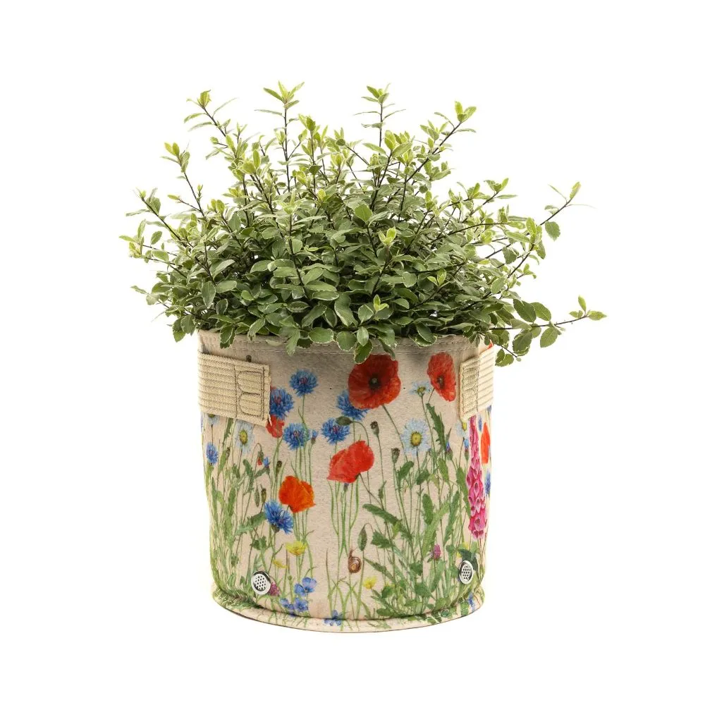 Cream Iona Buchanan Meadow Fabric Pot