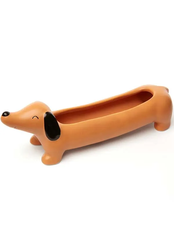 Daisy The Dachshund | PLANTER