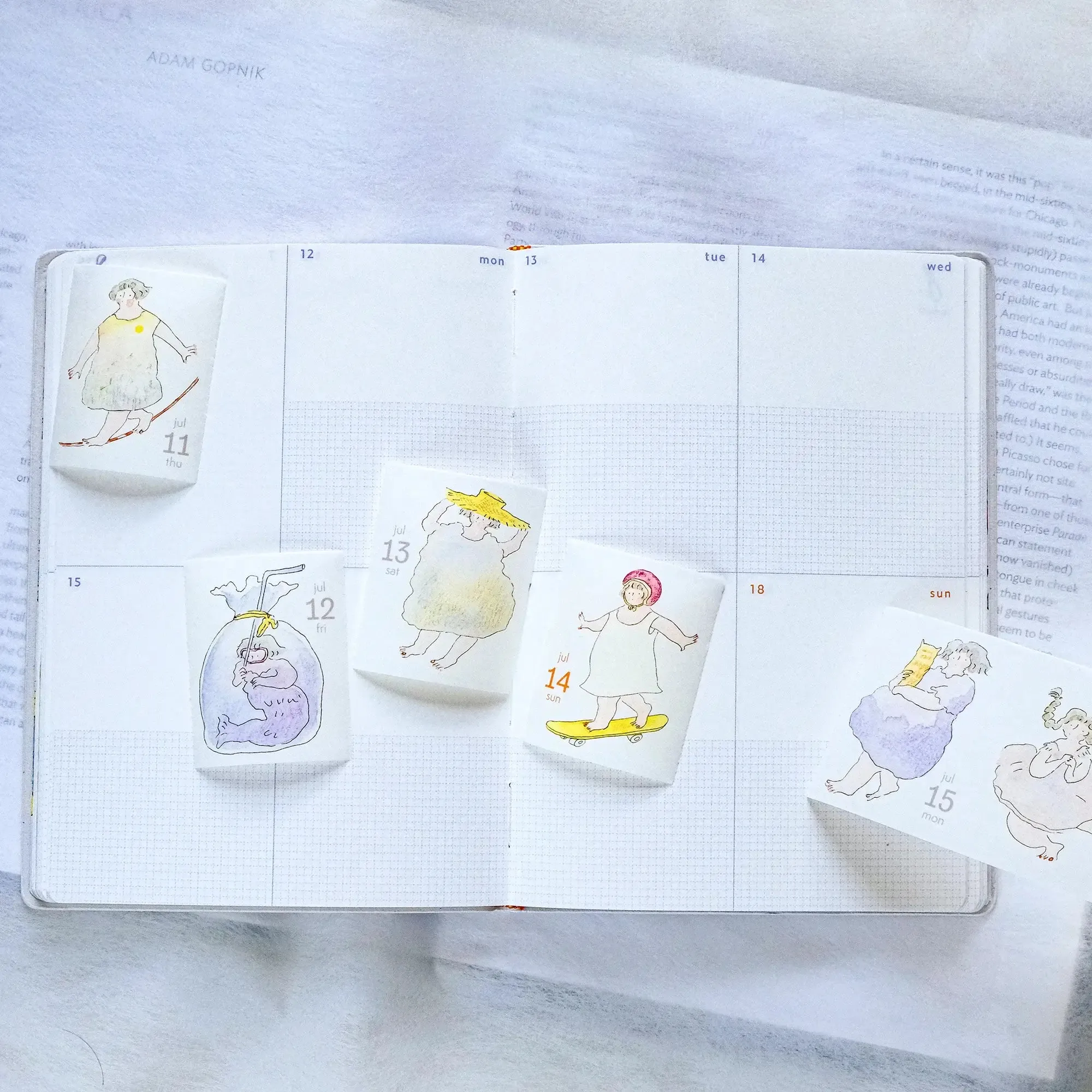 dodolulu 365-Days Calendar Washi Tape 2024