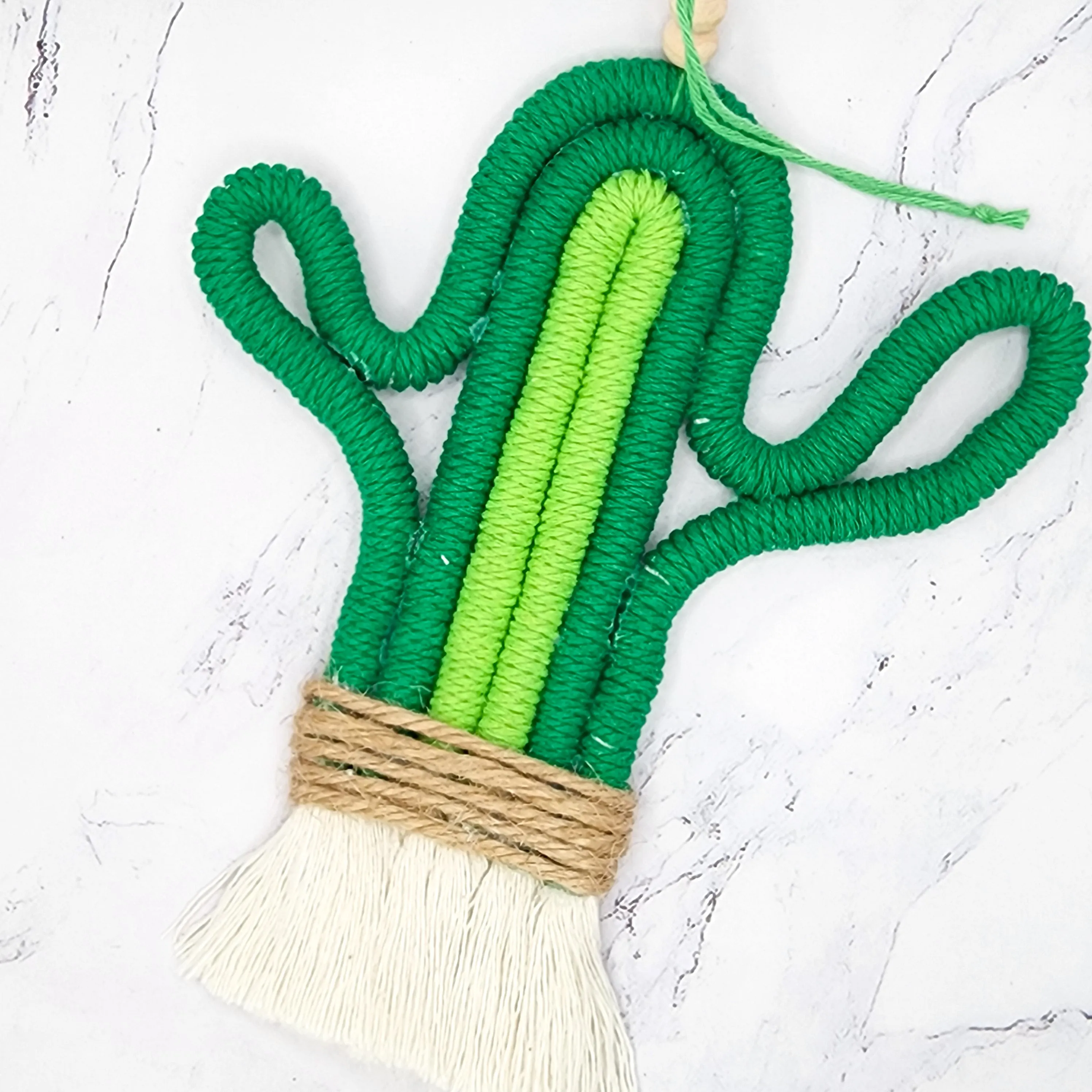 Door Hanging Cactus