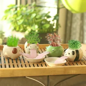 Drinking animal planters