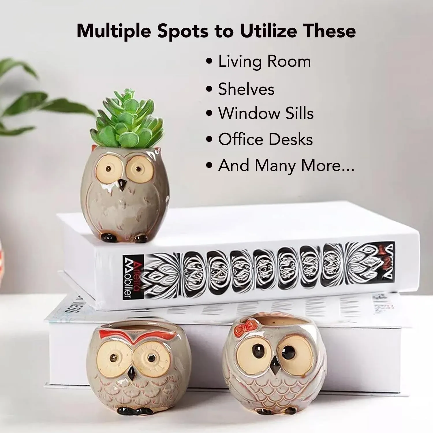 Ekhasa Owl Small Ceramic Pots for Plants with Drainage Hole | Planters Pot for Home Decor, Living Room Decorative Items & Balcony | Succulent Planter for Office Desk (Plants Not Included, Set of 3)