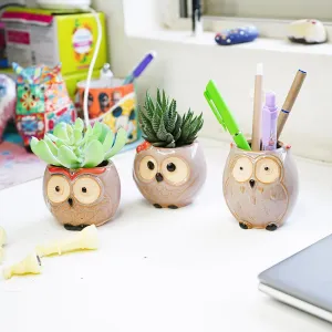 Ekhasa Owl Small Ceramic Pots for Plants with Drainage Hole | Planters Pot for Home Decor, Living Room Decorative Items & Balcony | Succulent Planter for Office Desk (Plants Not Included, Set of 3)