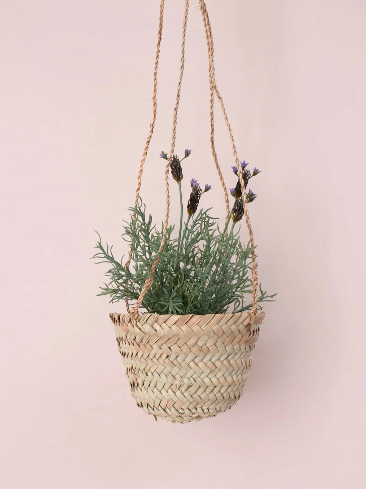 Hanging Baskets