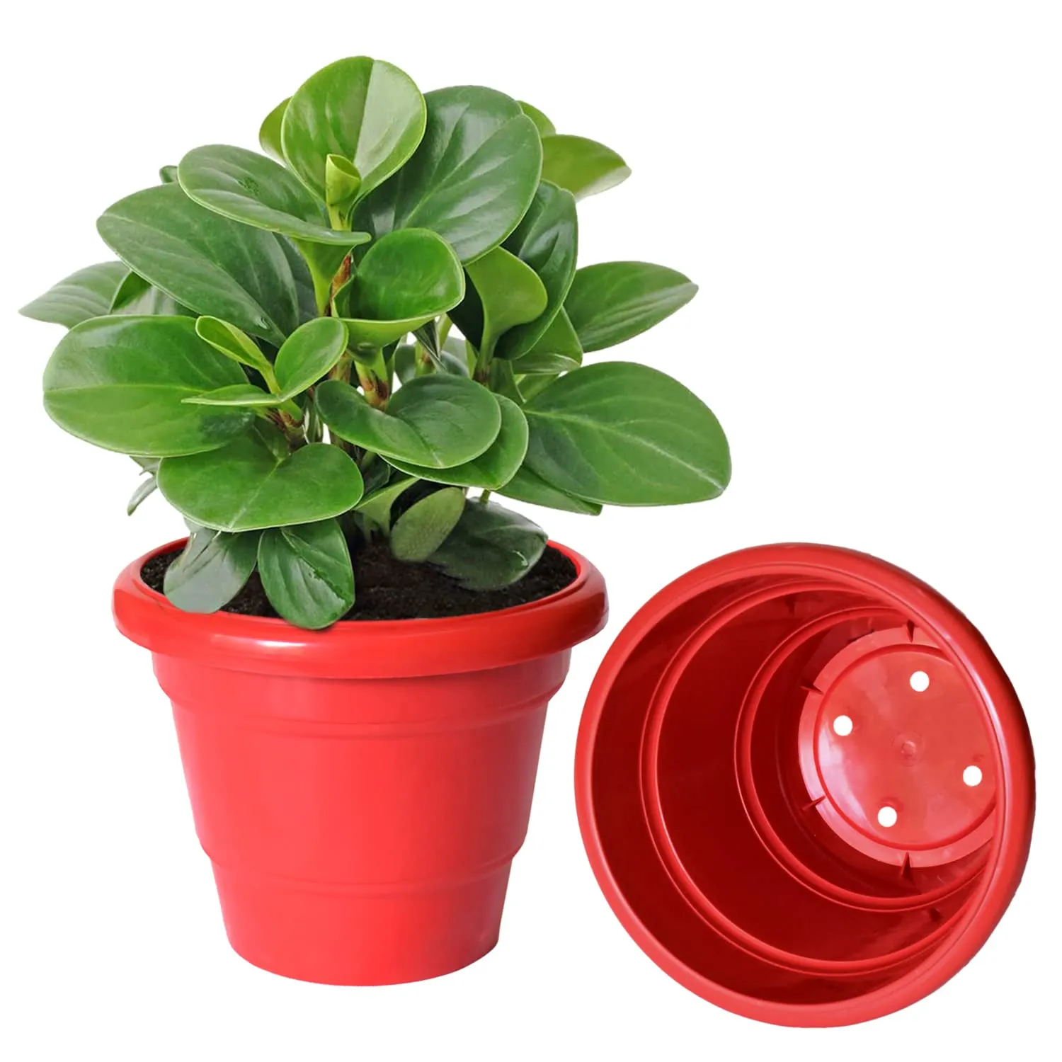 Heart Home Solid 2 Layered Plastic Flower Pot|Gamla for Home Decor,Nursery,Balcony,Garden,6"x5",Pack of 8 (Red)