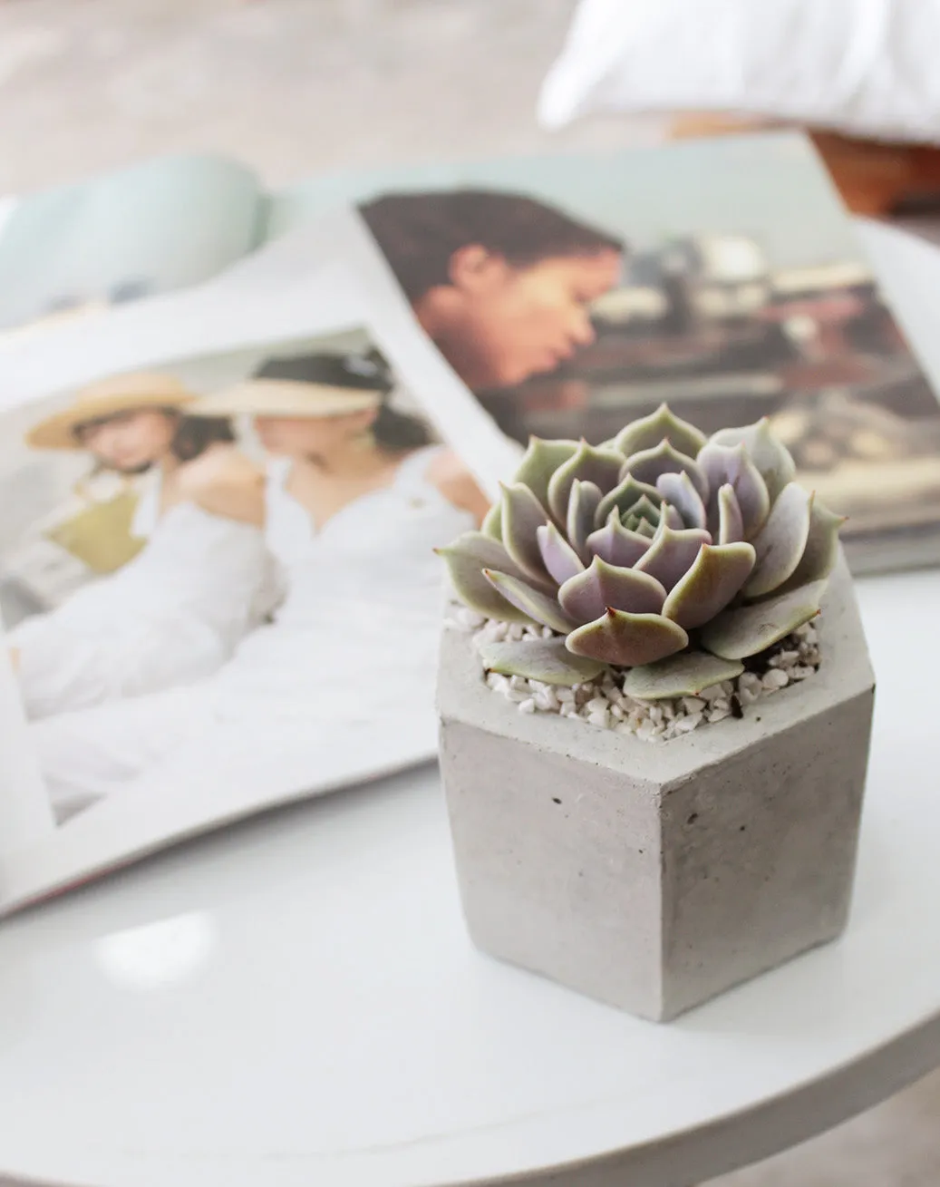 Hexagon Concrete Planter