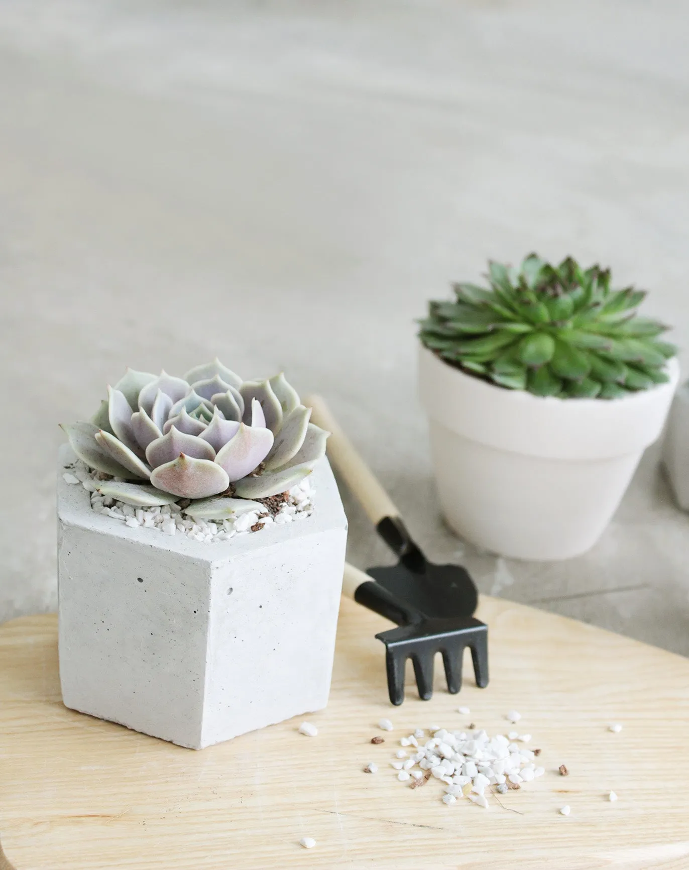 Hexagon Concrete Planter