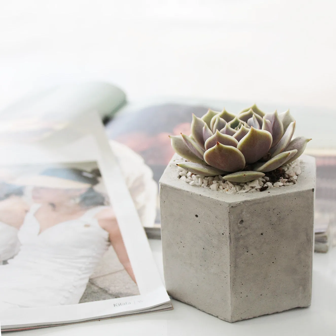 Hexagon Concrete Planter