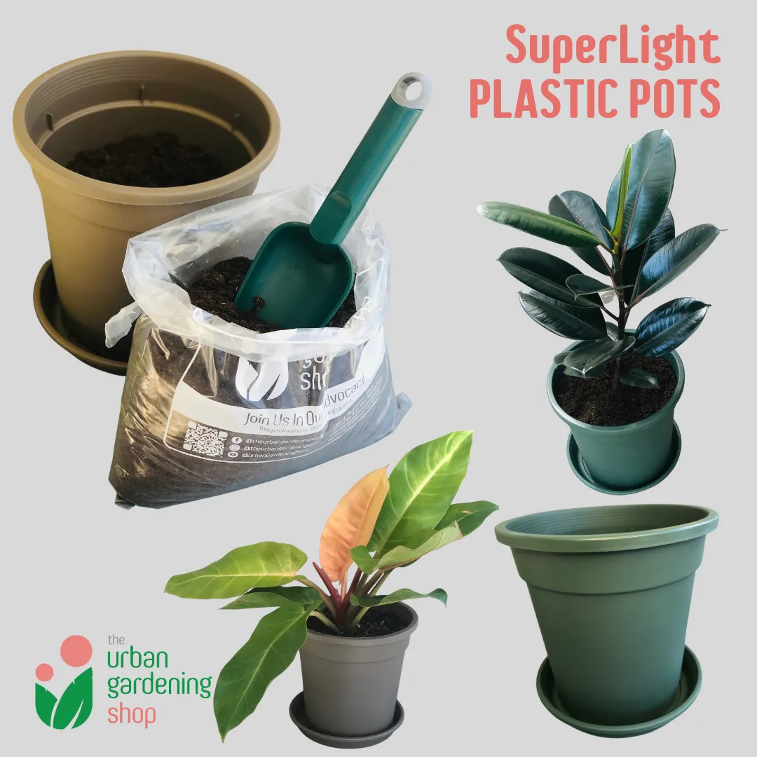 High Quality Lightweight Pots for Indoor Gardening - Includes Catch Plate