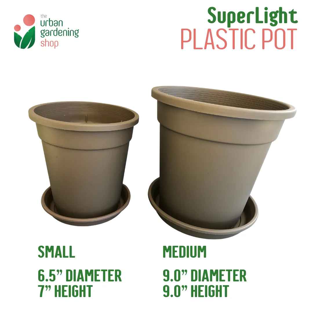 High Quality Lightweight Pots for Indoor Gardening - Includes Catch Plate