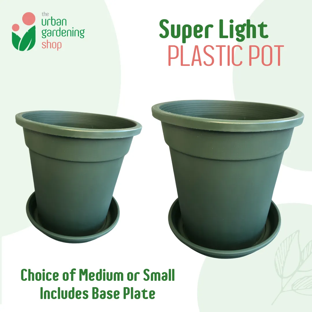 High Quality Lightweight Pots for Indoor Gardening - Includes Catch Plate