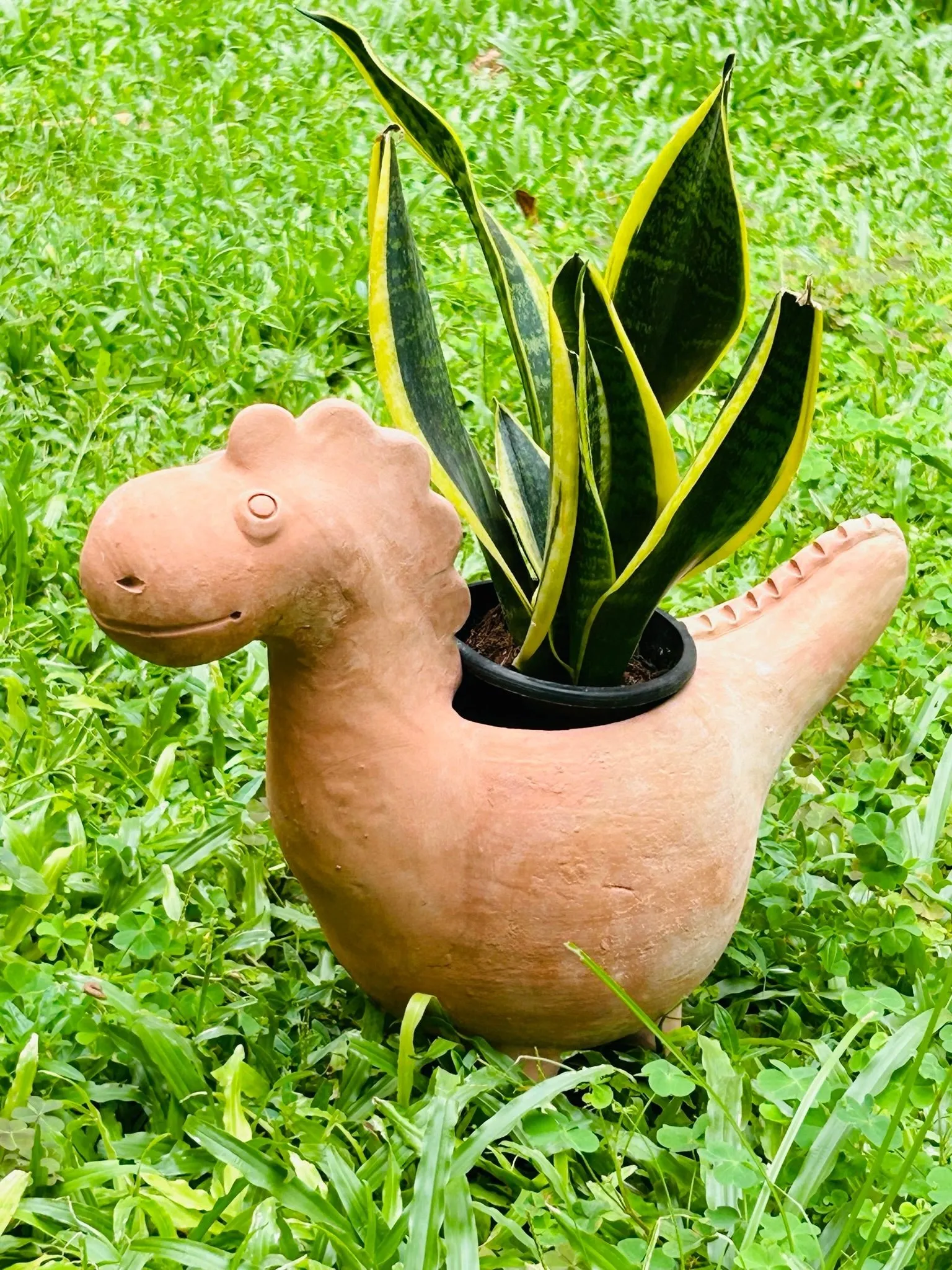 Jurassic Dinosaur Earthern Planter