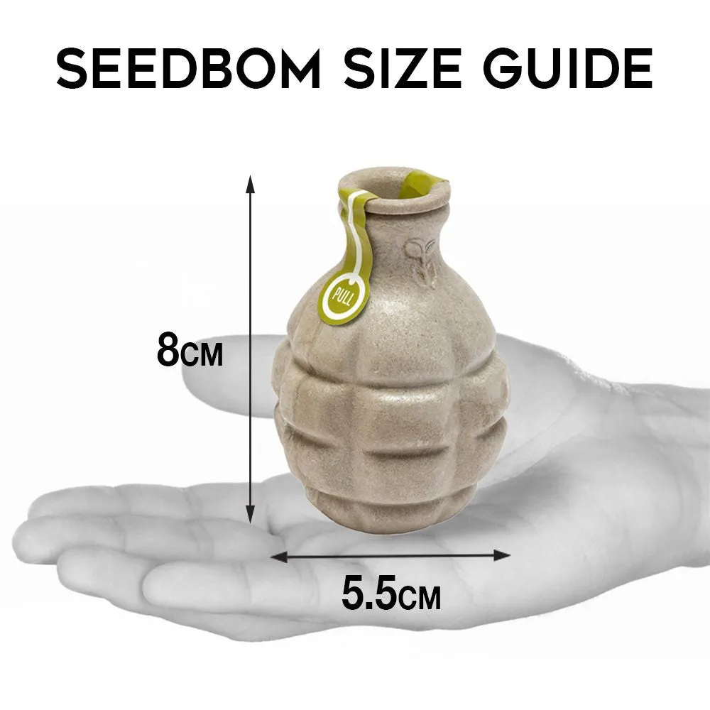 Kabloom Urban Bloomer Seedbom