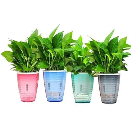 Kuber Industries Flower Pot | Flower Planter Pots for Indoor | Flower Pots for Outdoor | Pot for Garden & Balcony Flowering | Self Watering Flower Pot | P35-2..| Pack of 12 | Multi