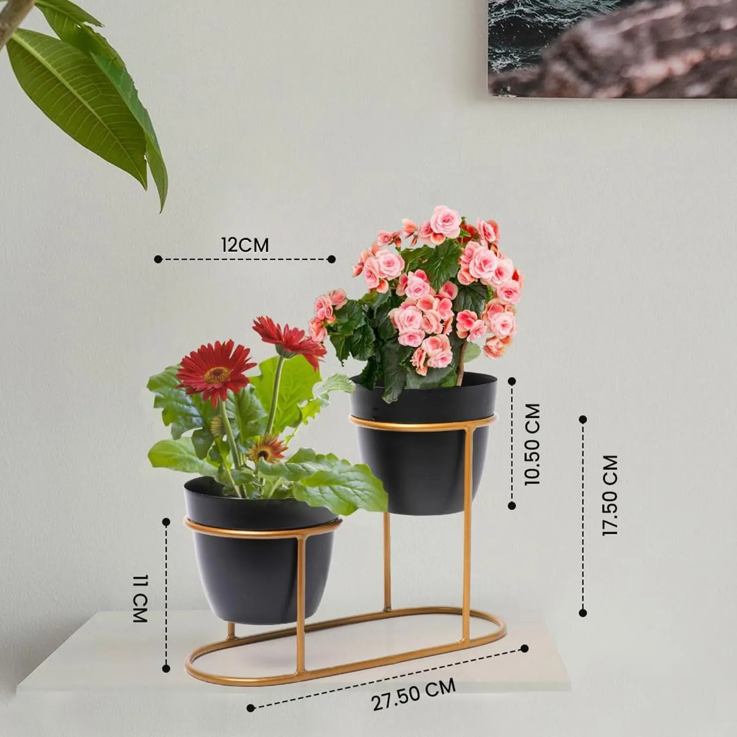 Kuber Industries Planter | Desktop Flower Planter | Balcony Flower Pot | Home Décor Flowers Pot | Flower Planter for Office Décor | Double Planter with Golden Stand | 1128-A | Black