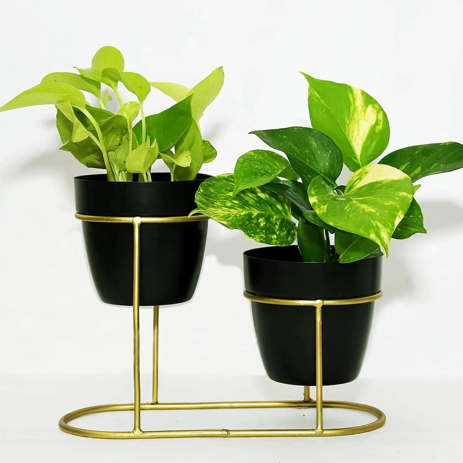 Kuber Industries Planter | Desktop Flower Planter | Balcony Flower Pot | Home Décor Flowers Pot | Flower Planter for Office Décor | Double Planter with Golden Stand | 1128-A | Black