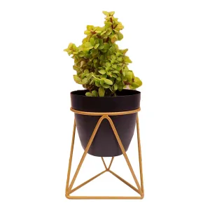 Kuber Industries Planter | Planter Pot Stand for Outdoor | Planter Stand for Garden | Plant Stand for Home | Gamla Stand for Home | Metal Indoor Pots with Drainage Hole | Set of 1 | Black