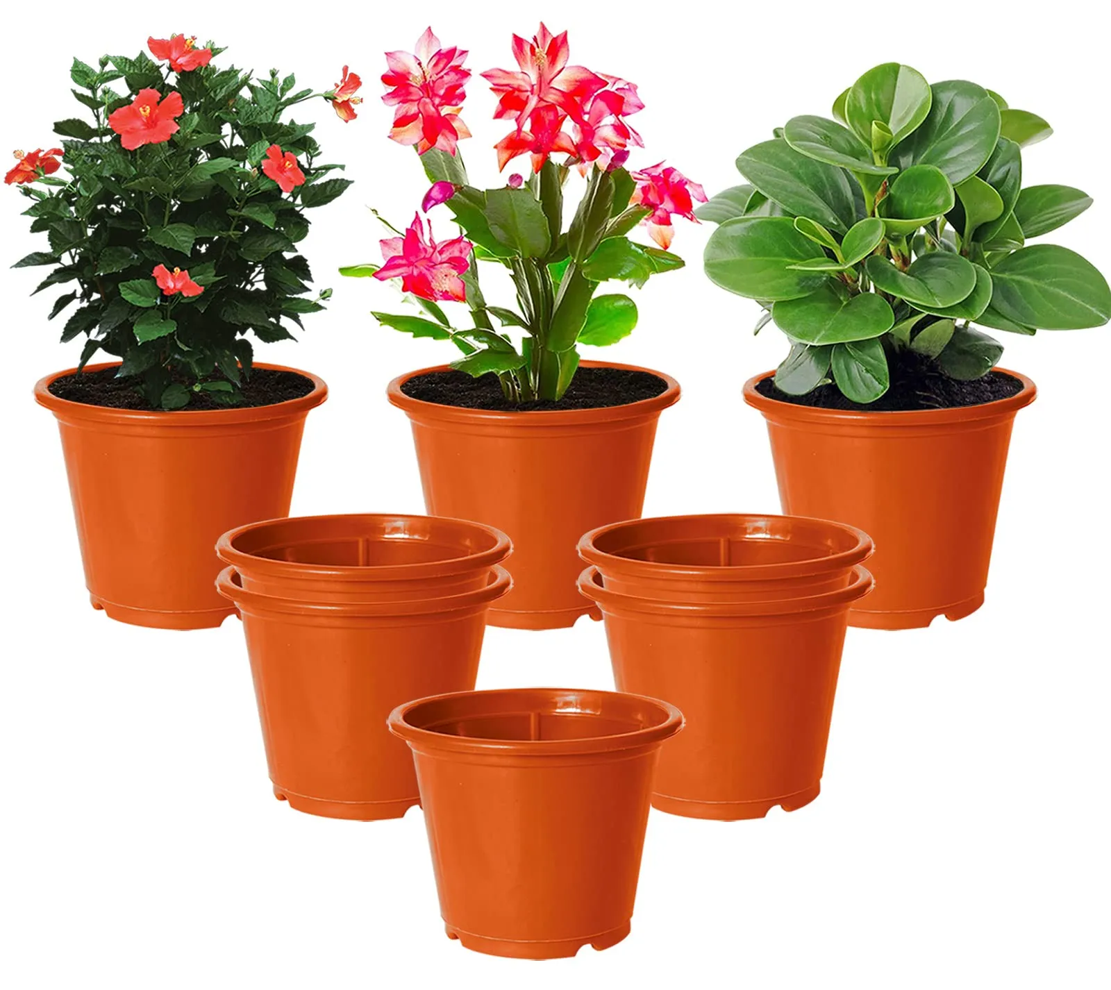 Kuber Industries Plastic Planters|Gamla|Flower Pots for Garden Nursery Home Décor,8"x6",Pack of 8 (Orange)