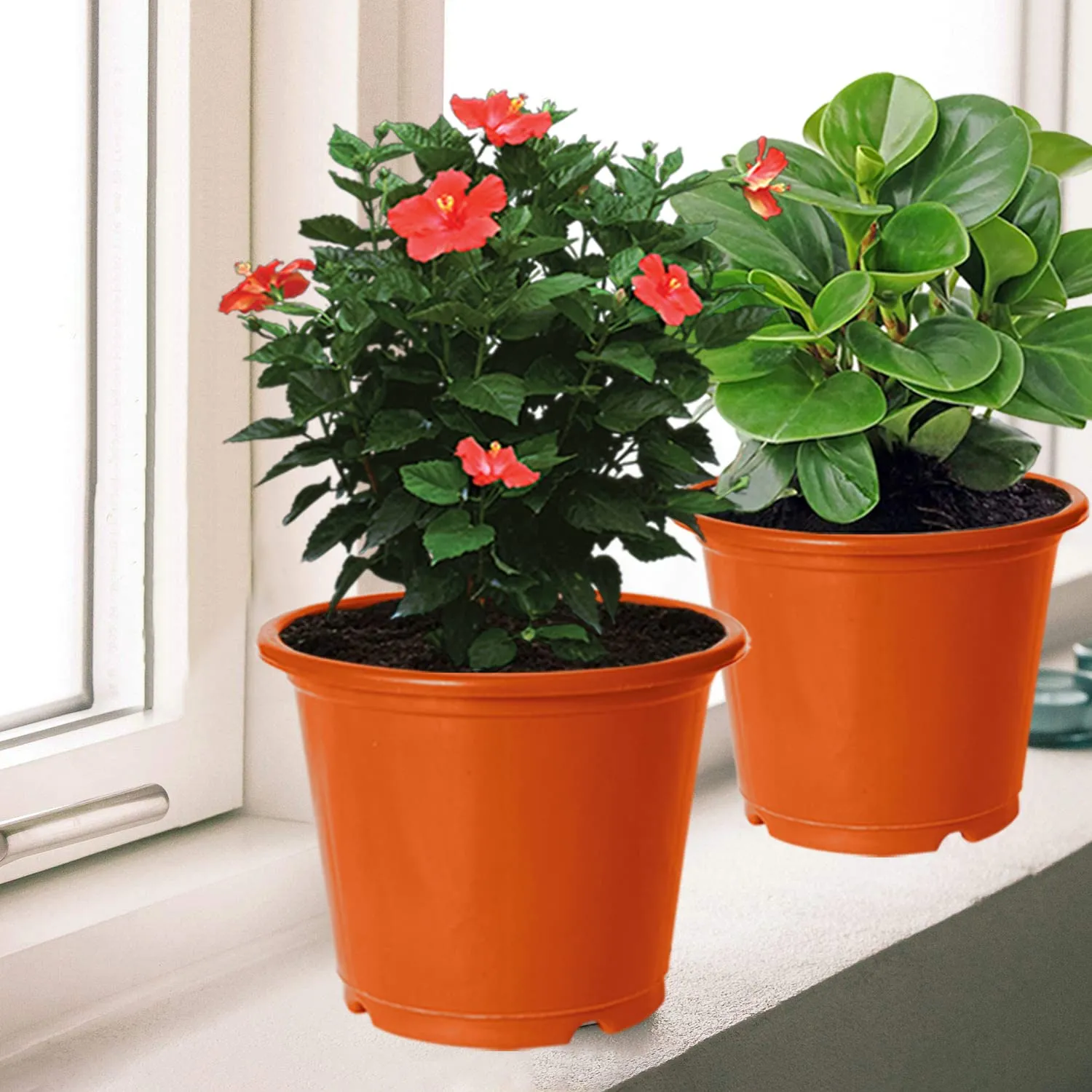 Kuber Industries Plastic Planters|Gamla|Flower Pots for Garden Nursery Home Décor,8"x6",Pack of 8 (Orange)