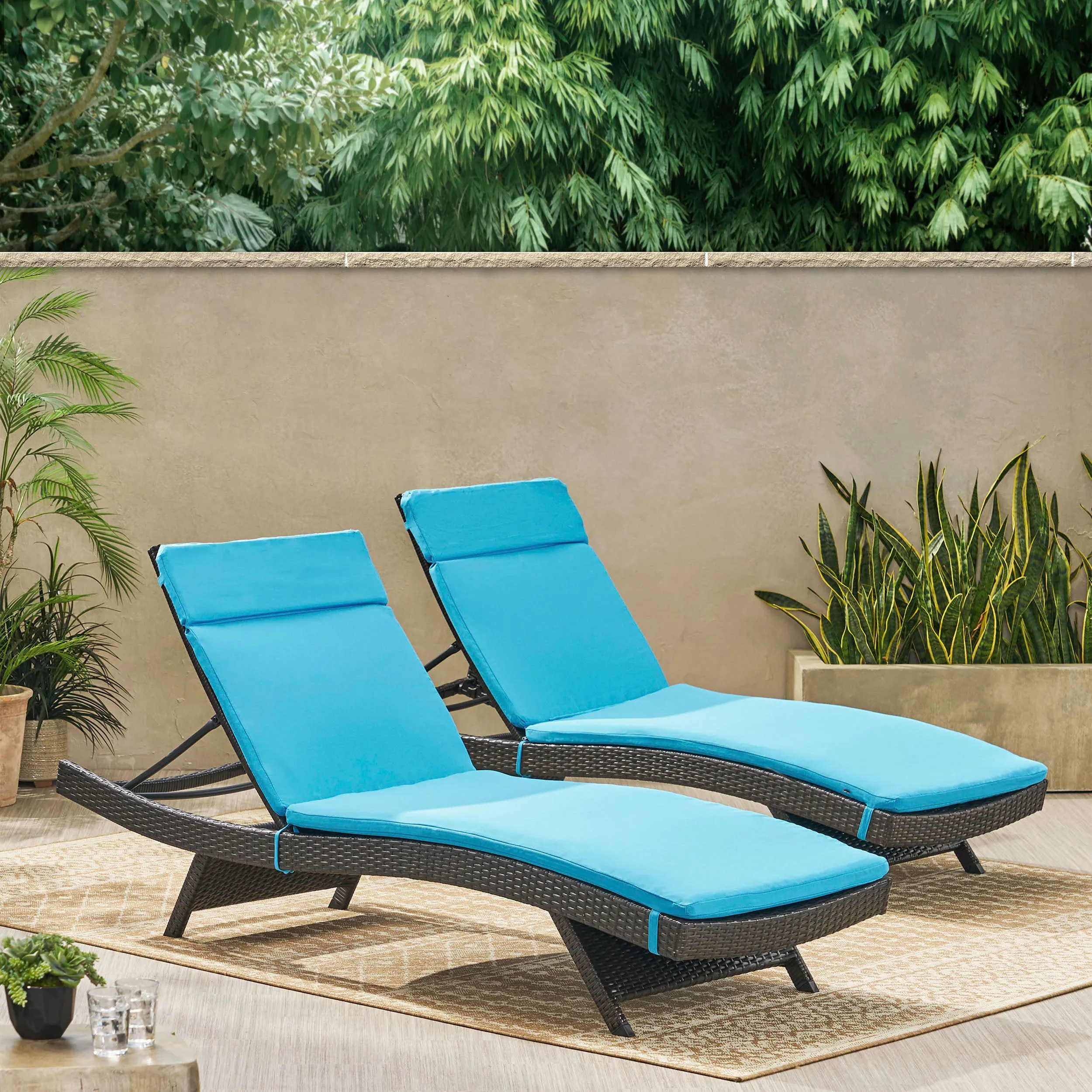 Lakeport Outdoor Adjustable Chaise Lounge Chairs w/ Cushions (set of 2)