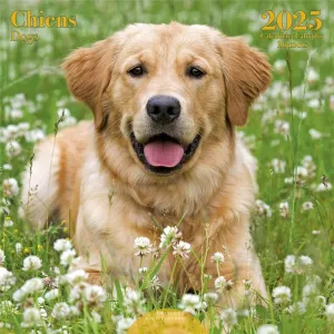 Les Éditions du Désastre 2023 Calendar - Dogs