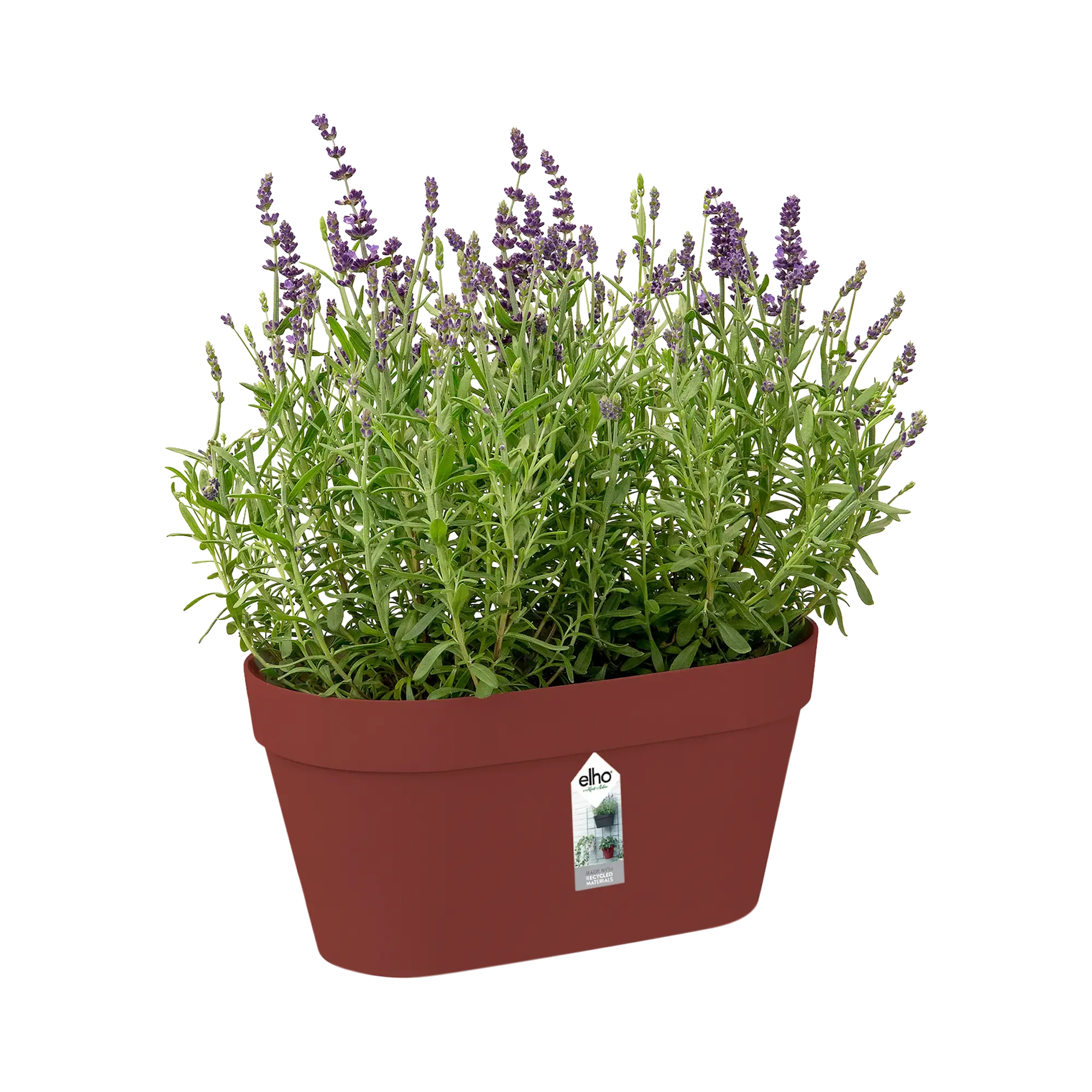 Loft Urban Green Wall Duo 28Cm (Brique)