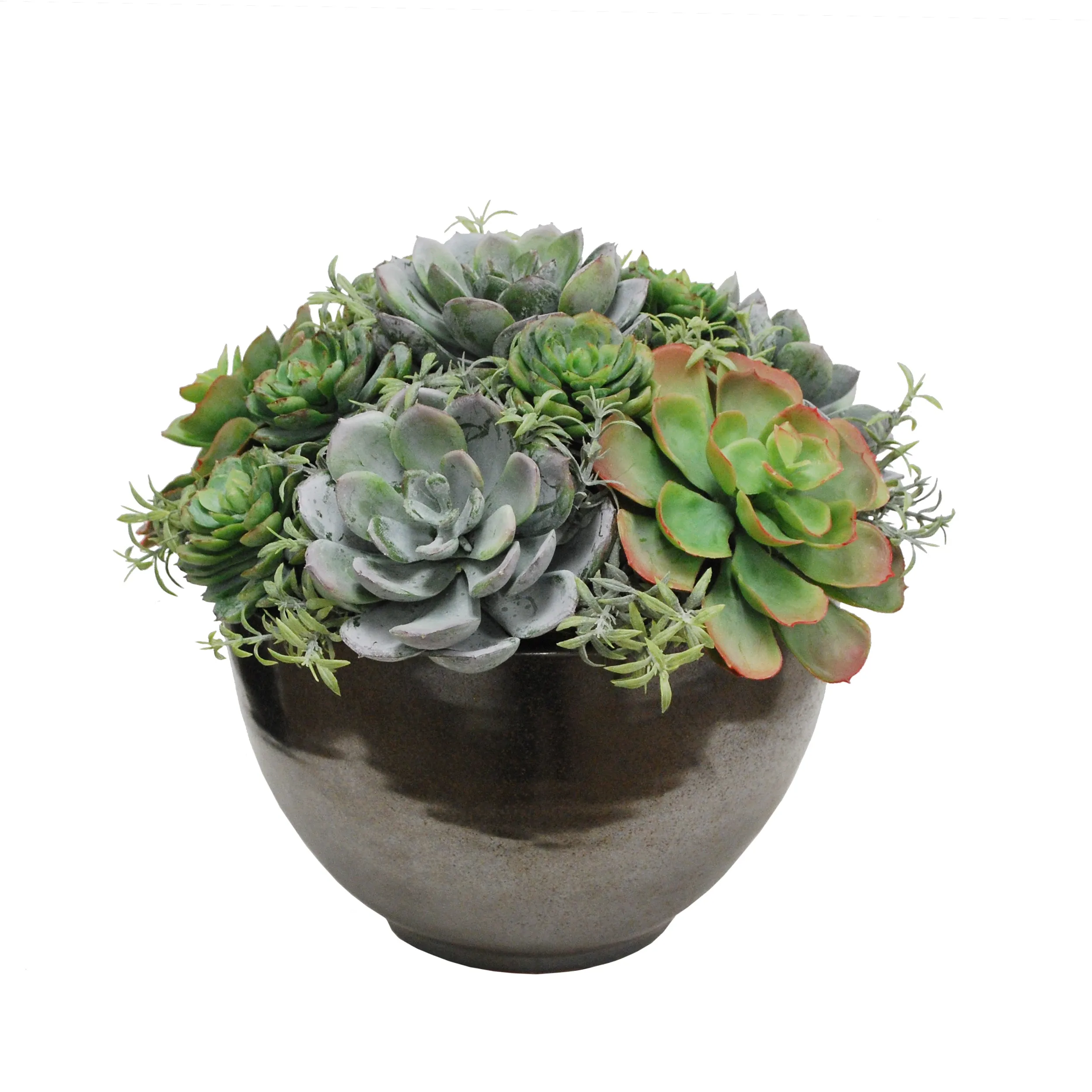 MIX SUCCULENT IN CRETE BOWL 10"