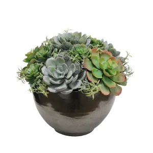 MIX SUCCULENT IN CRETE BOWL 10"