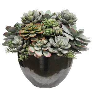 Mix Succulent in Crete Bowl 15"