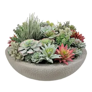 Mix Succulents in Bowl 13"